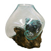 Large Hand Blown Molten Glass and Wood Root Sculptured Terrarium / Vase / Fish Bowl (13x13”)