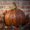 Our Orange Metal Indoor/Outdoor Pumpkin Candle Luminary is 15” tall x 14” in diameter and has a large 6” opening for you to add your own flameless candle or 3-wick jar candle and you will immediately light up any space day or night. Our steel construction pumpkins are rust-proof, powder coated, UV resistant and so great for creating indoor or outdoor beauty, season after season. Also available in white and expresso colors. 