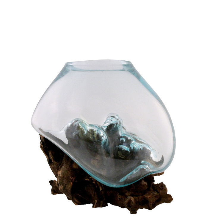 Small Hand Blown Molten Glass and Wood Root Sculptured Terrarium / Vase / Fish Bowl (7x8”)