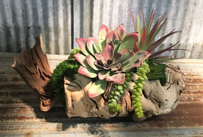 Succulent Blend Log Tabletop Centerpiece Décor features a blend of succulents that have been added to an authentic repurposed log of tumbled grape wood, and then our skilled artisans begin assembling and blending the succulents and moss into a tabletop piece that is unique and beautiful. Each piece is a work of art and each piece of wood may vary in shape and size due to the variations in the wood. Size is be approximately 14" long x 10" tall.