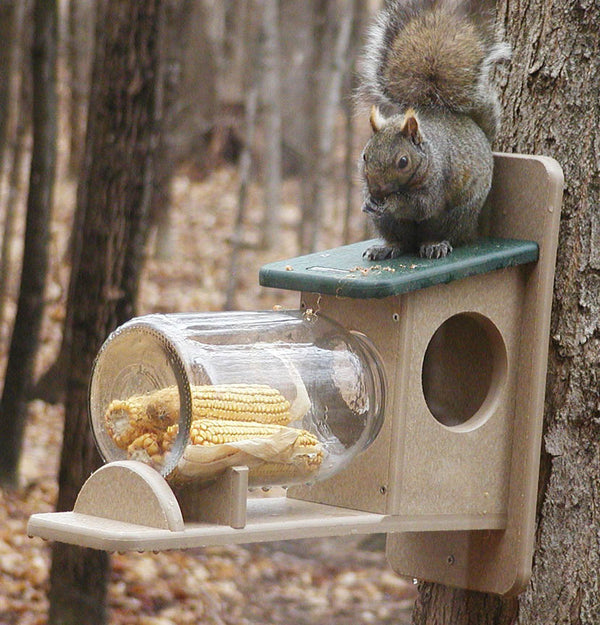 Watch the squirrels eat from their very own Squirrel Jar! Fill with corn cobs and/or critter mix and enjoy the show.