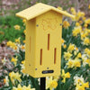 Our Yellow Poly Lumber Butterfly House with Pole Mount is a bright and beautiful butterfly house for your garden and will add color for you, as well as a resting place to attract butterflies. The poly lumber material is virtually indestructible, and it will never fade, crack or split.  It proudly stands 42” tall.