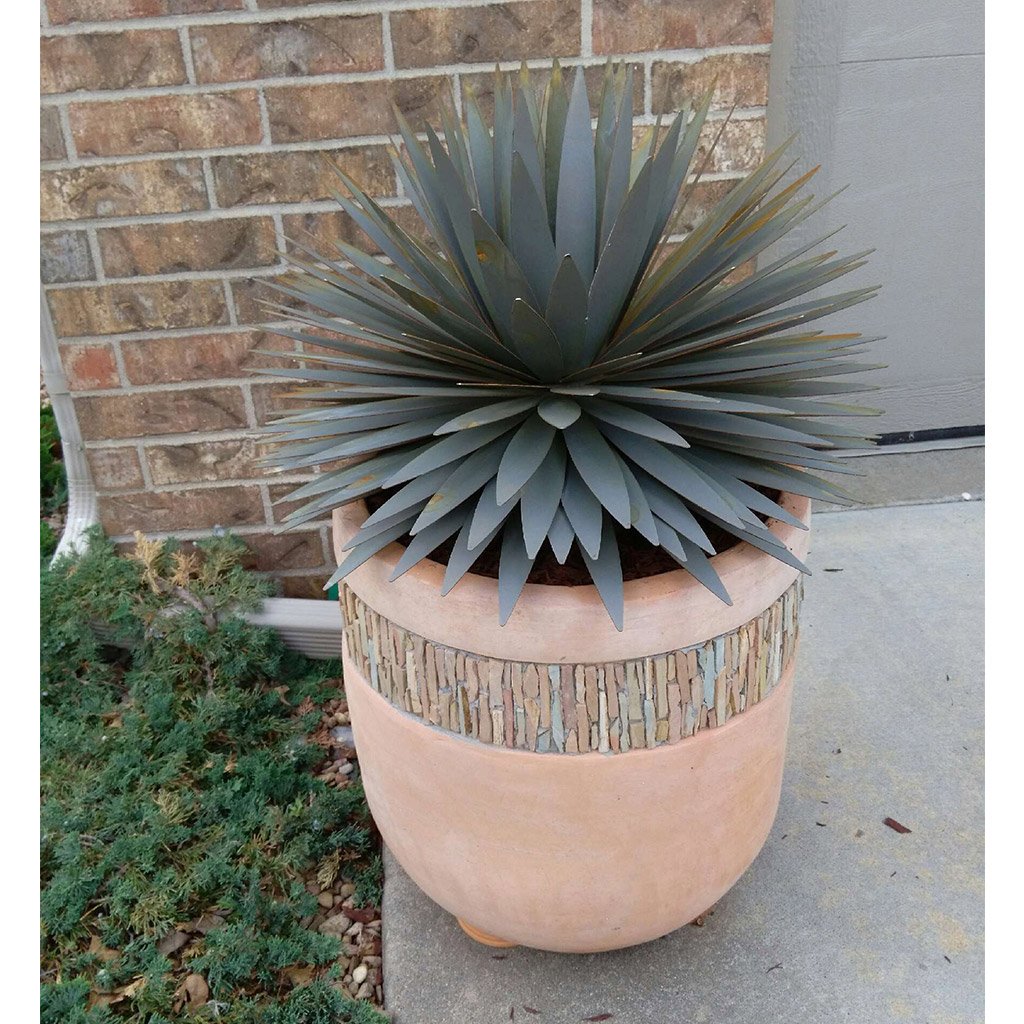 Plant our Yucca Succulent Plant Metal Yard Art Sculpture in a planter and showcase where it will get lots of complements.