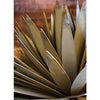 This view of our Yucca Succulent Plant Metal Yard Art Sculpture shows the ornate detail that our skilled artisans capture