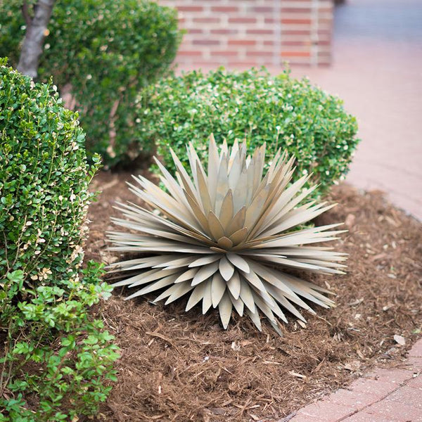 Plant our Yucca Succulent Plant Metal Yard Art Sculpture in the ground where it will get lots of complements.