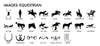 These are Equestrian Images that you can choose to laser engrave on your board.