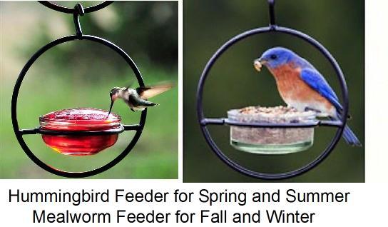Hummingbird Feeder / Meal Worm Feeder Combination Bird Feeder