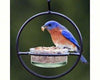 Hummingbird Feeder / Meal Worm Feeder Combination Bird Feeder